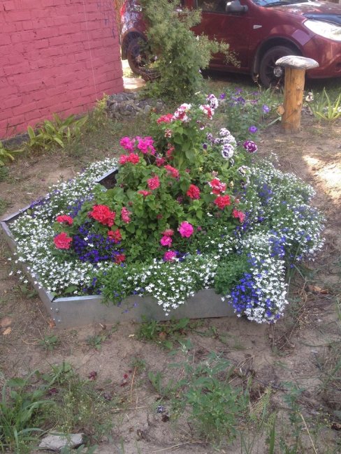 Оцинкованная клумба "Сота" 500 в Москве